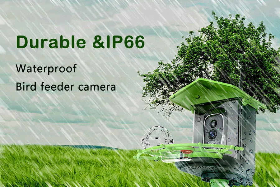 Smart Bird Feeder Camera 4MP Solar Powered Bird Watching Camera Wireless WiFi 2.4G&5G Bird Video Capture with Solar Panel